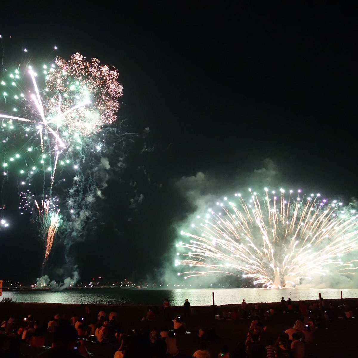 🏖️ 호조 해수욕장(호조카이스이요쿠조) 이미지 8